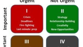 Thinking Inside the Right Box