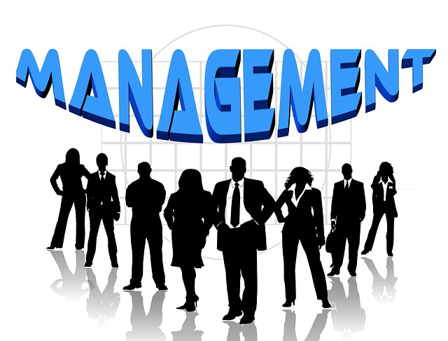 Talent Management Strategies