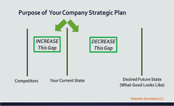 Purpose of Your Company Strategic Plan